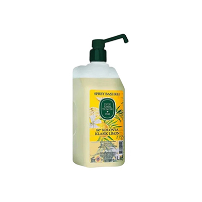 EYUP SABRI KOLANYA LEMON 12X1L POMP